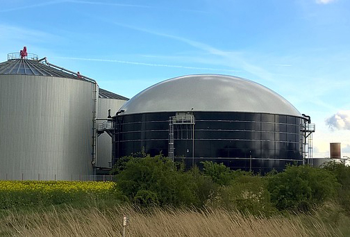 Biomasse Algen Biogas