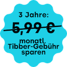 Tibber Gebühr sparen