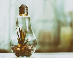 Lassen sich Strom und Gas auch vegan erzeugen?