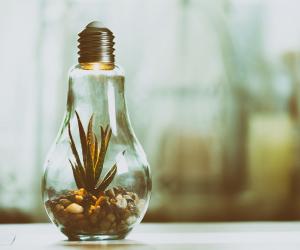 Lassen sich Strom und Gas auch vegan erzeugen?