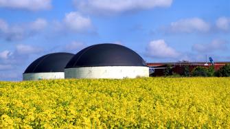 Alle Ökogas-Tarife (Klimagas & Biogas)