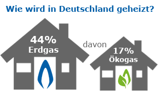 Anteil Erdgas/ Ökogas Deutschland